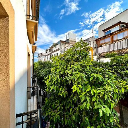 San Fernando De La Ribera Apartment Cordoba Exterior photo