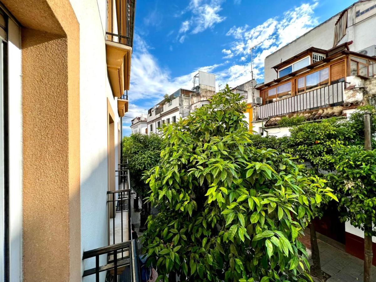 San Fernando De La Ribera Apartment Cordoba Exterior photo